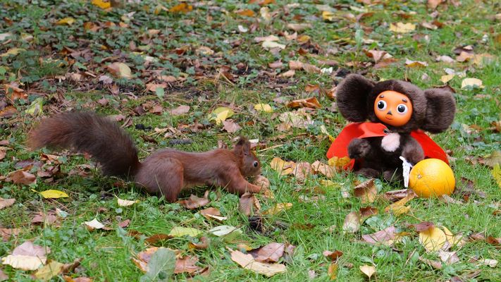 Der letzte Proviant...