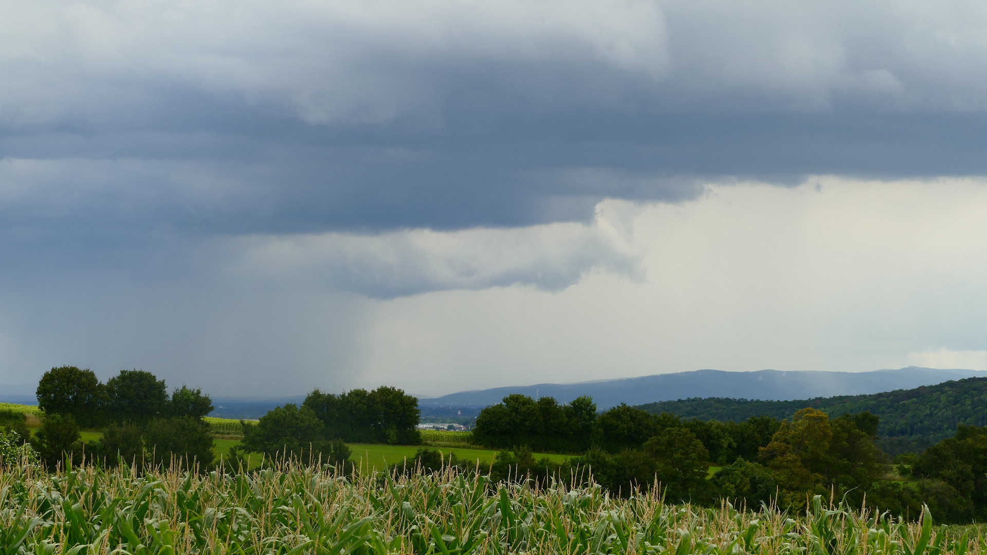 Der letzte Regen