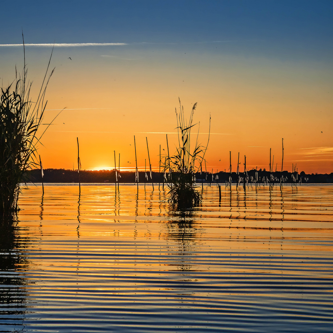 Der letzte Schein der Sonne