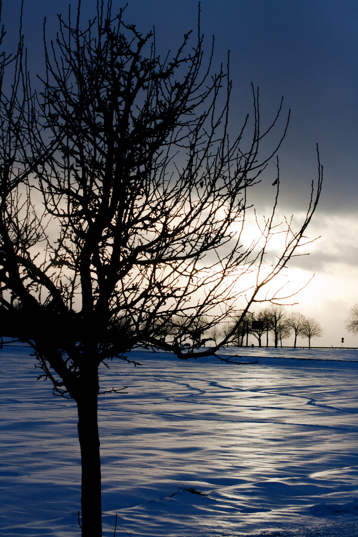 Der letzte Schnee