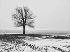 Der letzte Schnee...