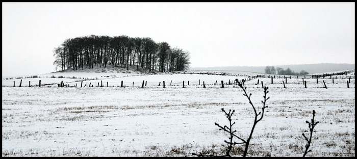 der letzte Schnee 2005