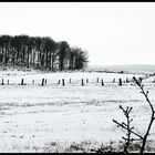 der letzte Schnee 2005