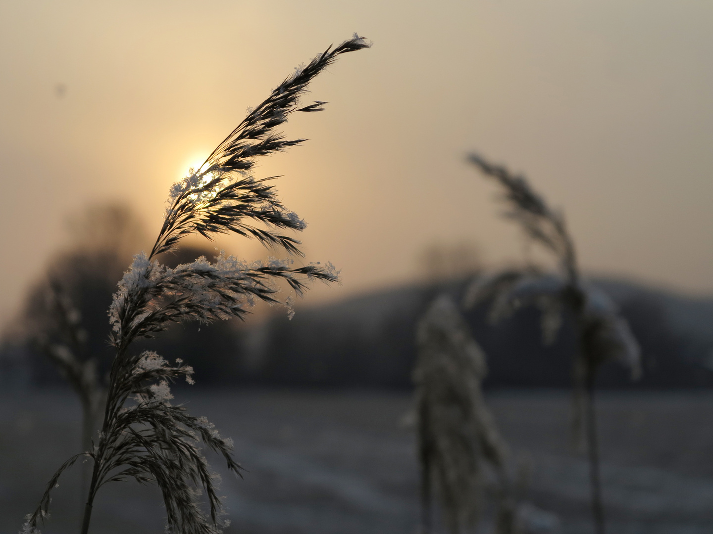 Der letzte Schnee