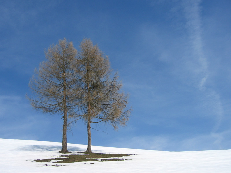 der letzte schnee?