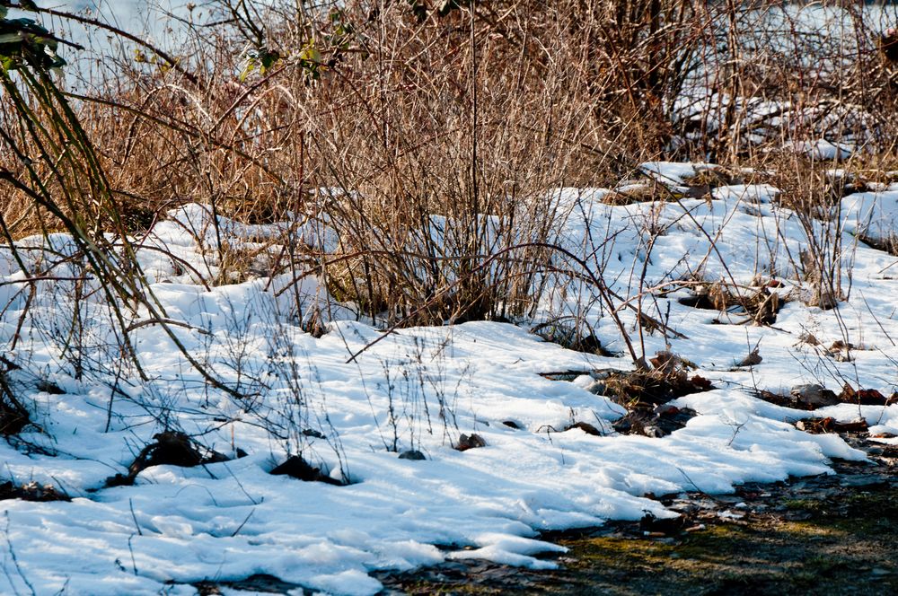 der letzte? Schnee