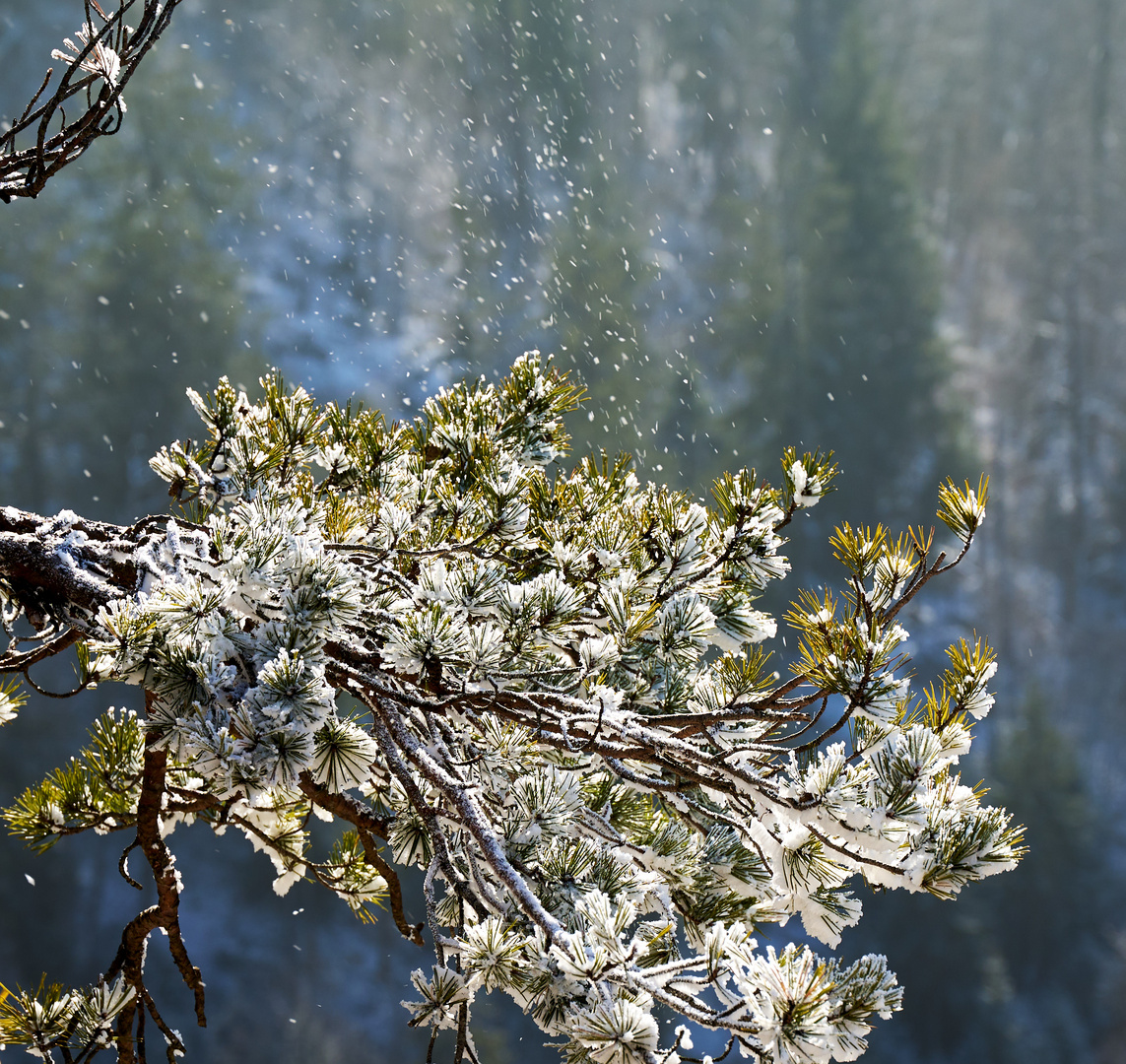 Der letzte Schnee 