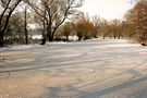 der letzte Schnee von Röhrig Peter 