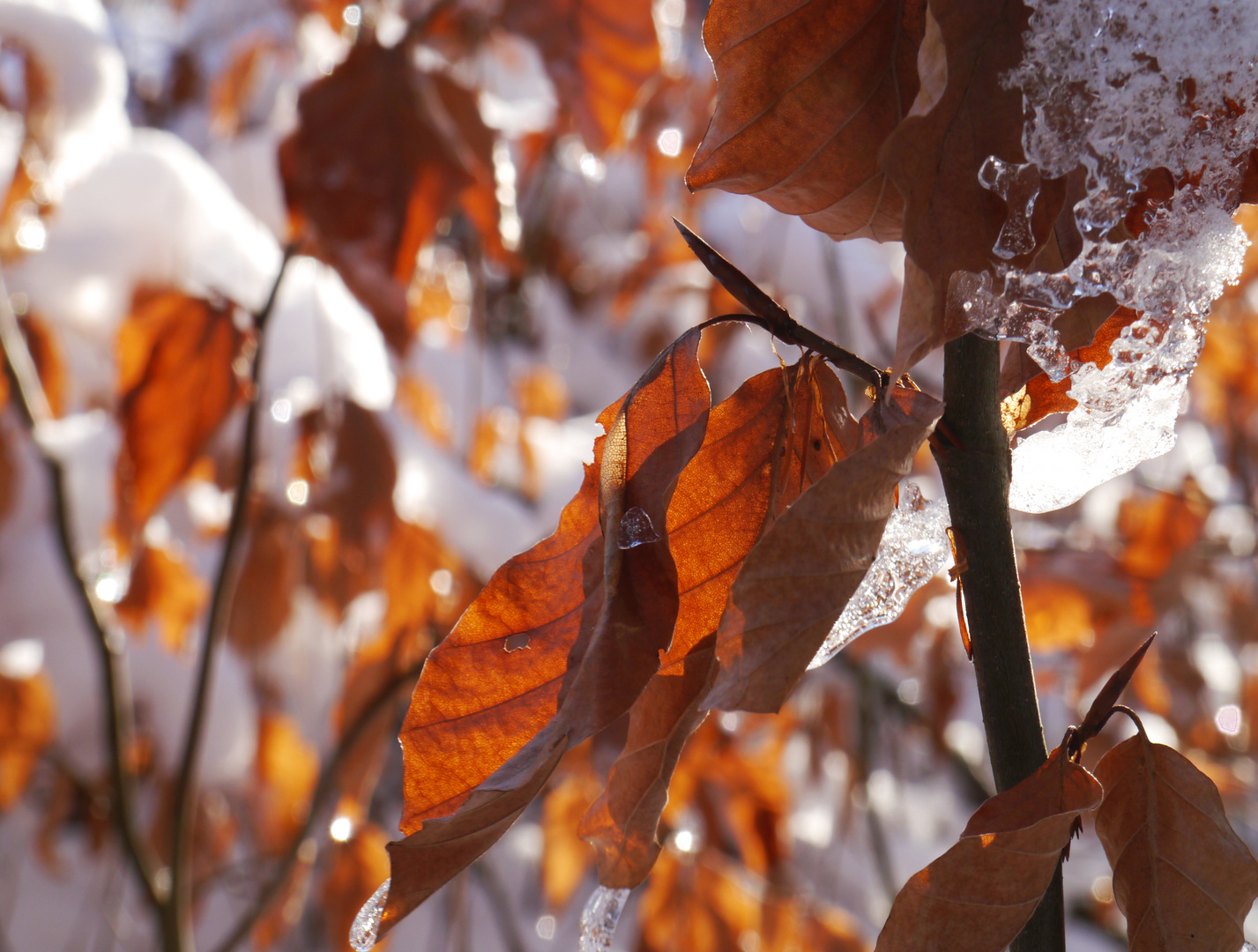 Der letzte Schnee...