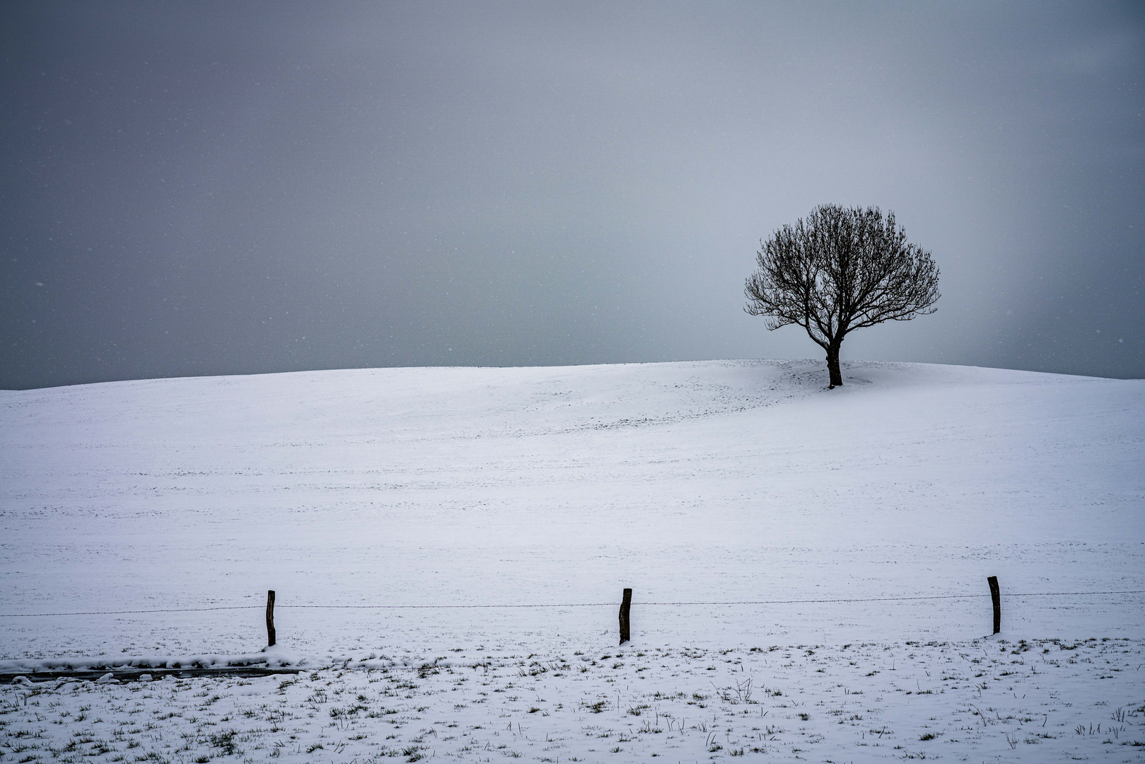 Der letzte Schnee