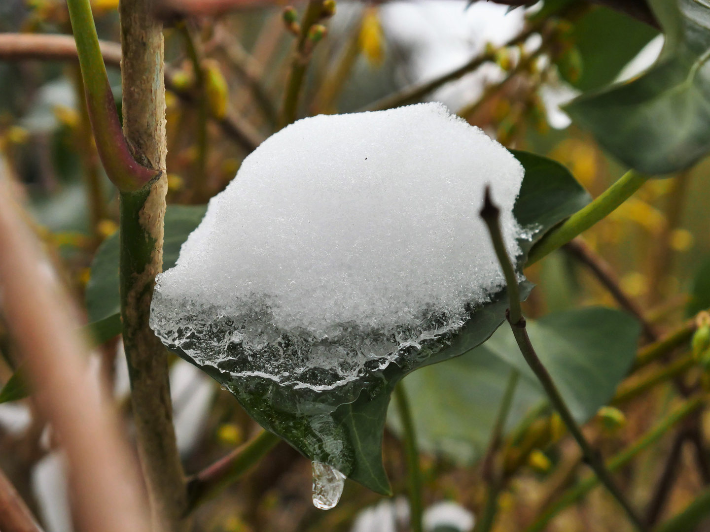 Der letzte Schnee?