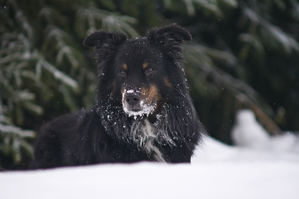 Der letzte Schnee....