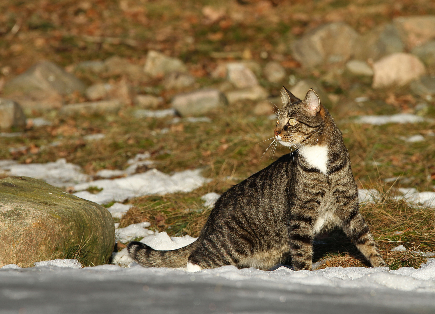 *...der letzte Schnee...*