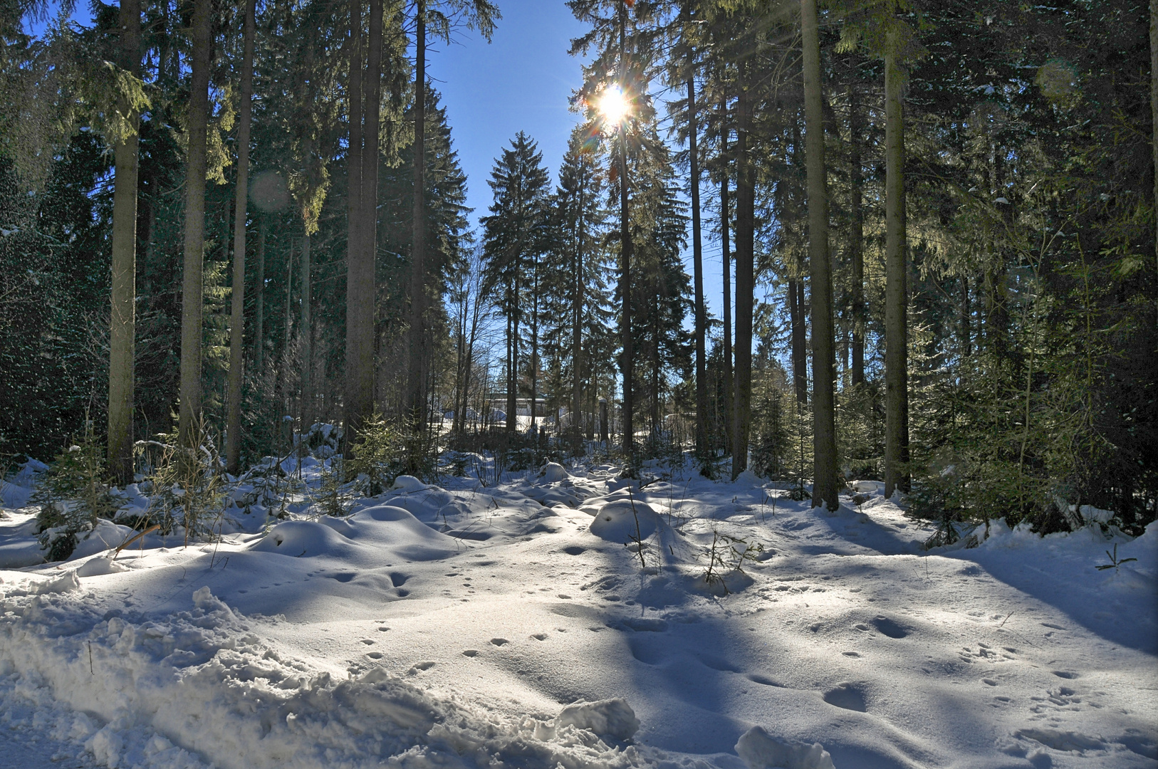 - Der letzte Schnee des Winters 2012 / 2013 -