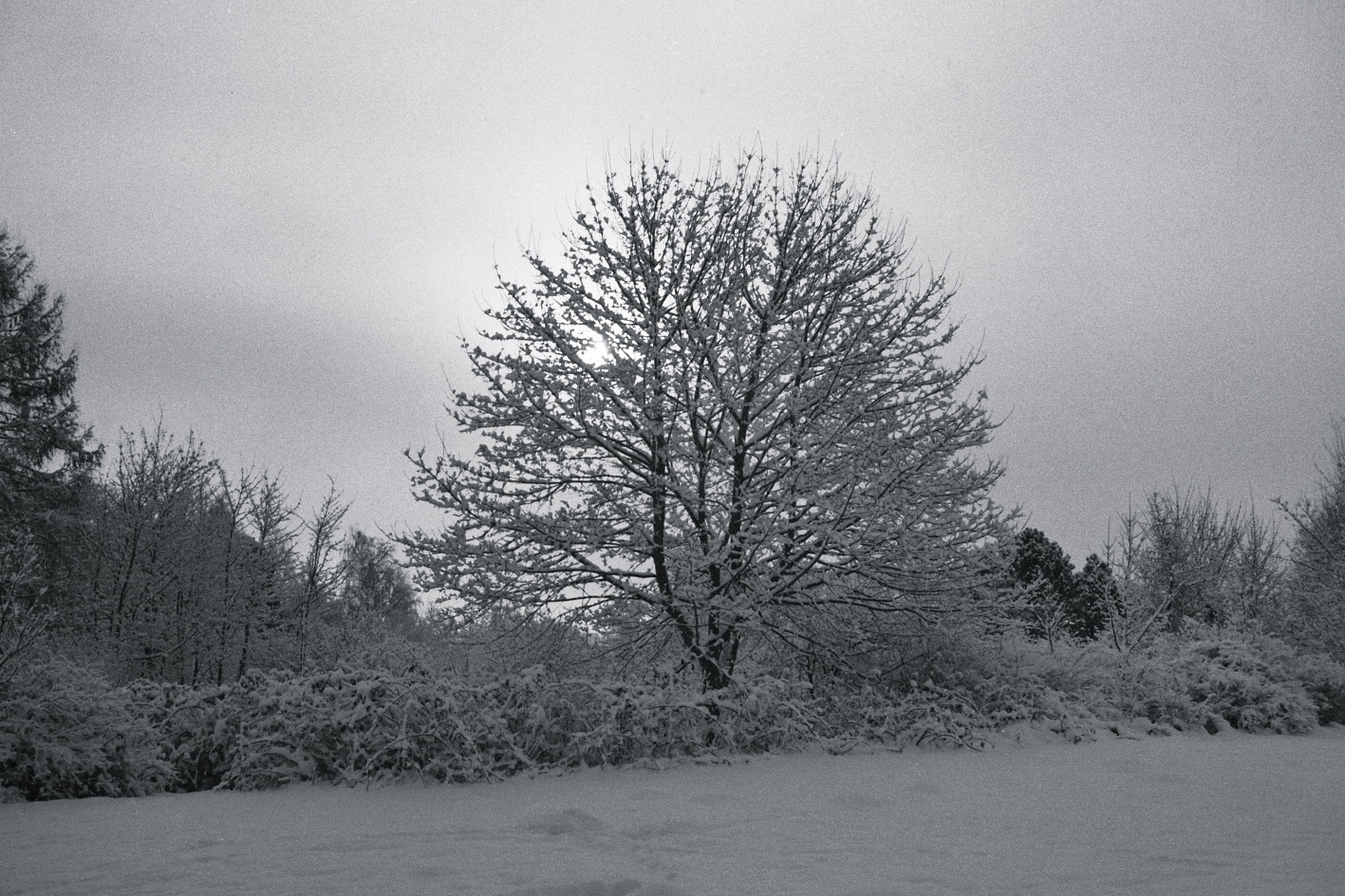 Der letzte Schnee des Winters ...