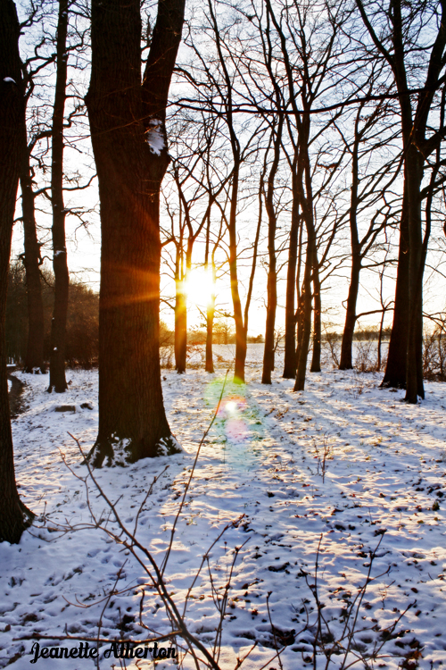 Der letzte Schnee...