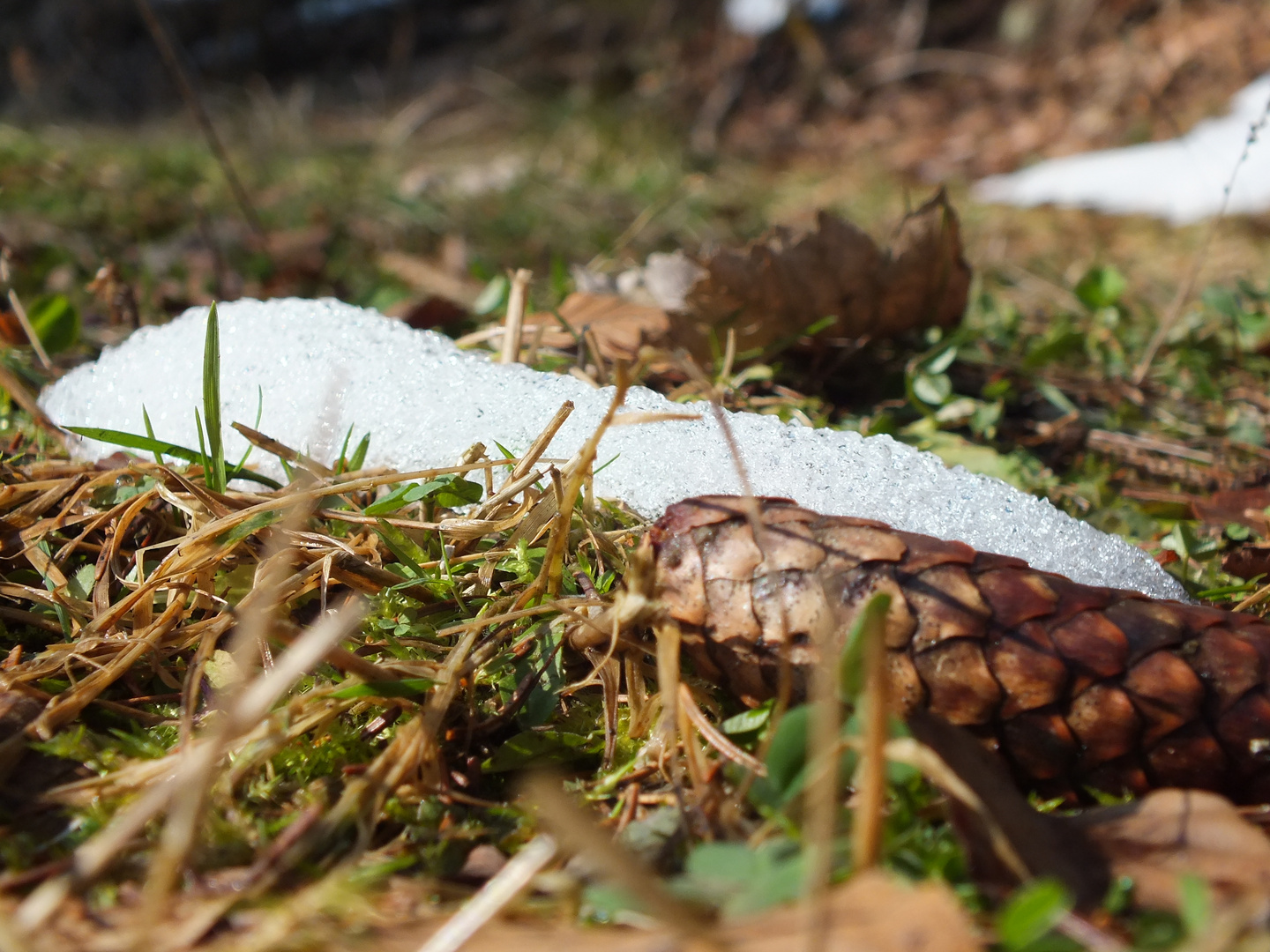 der letzte Schnee