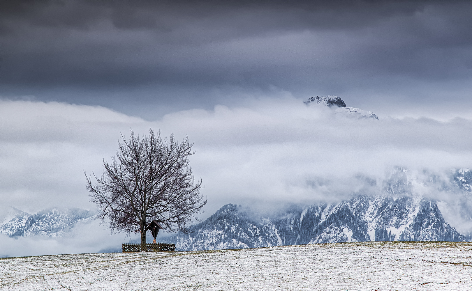 der letzte Schnee ....