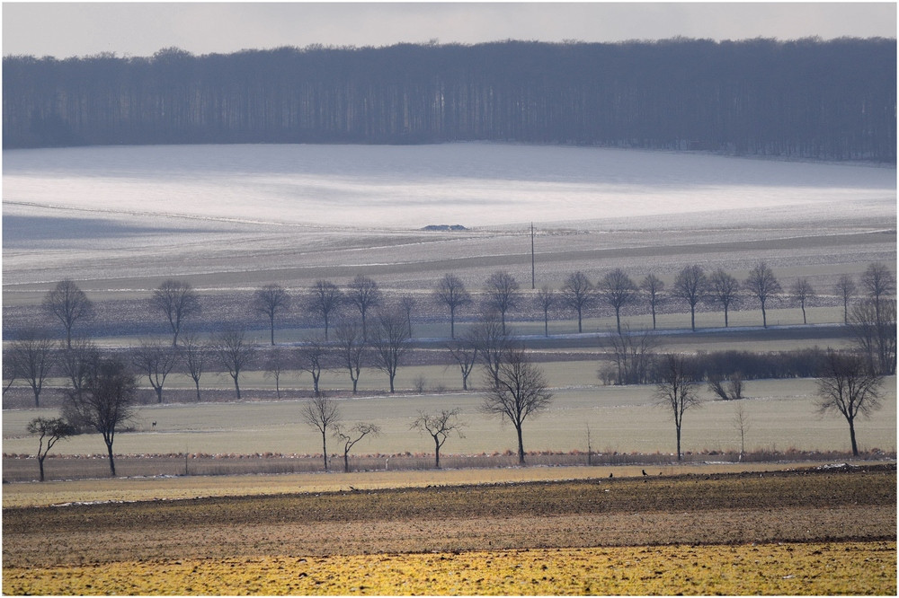 Der letzte Schnee?