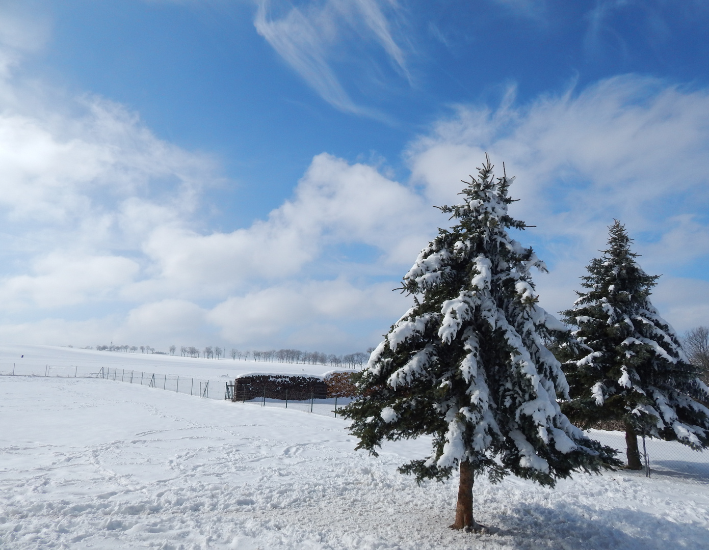 Der letzte Schnee