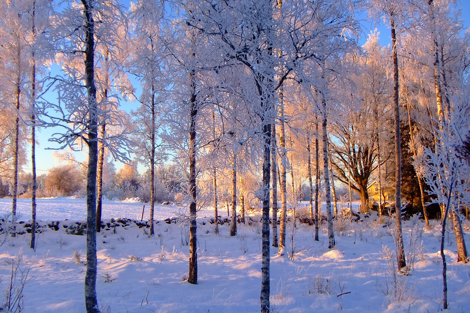 ... der letzte Schnee?