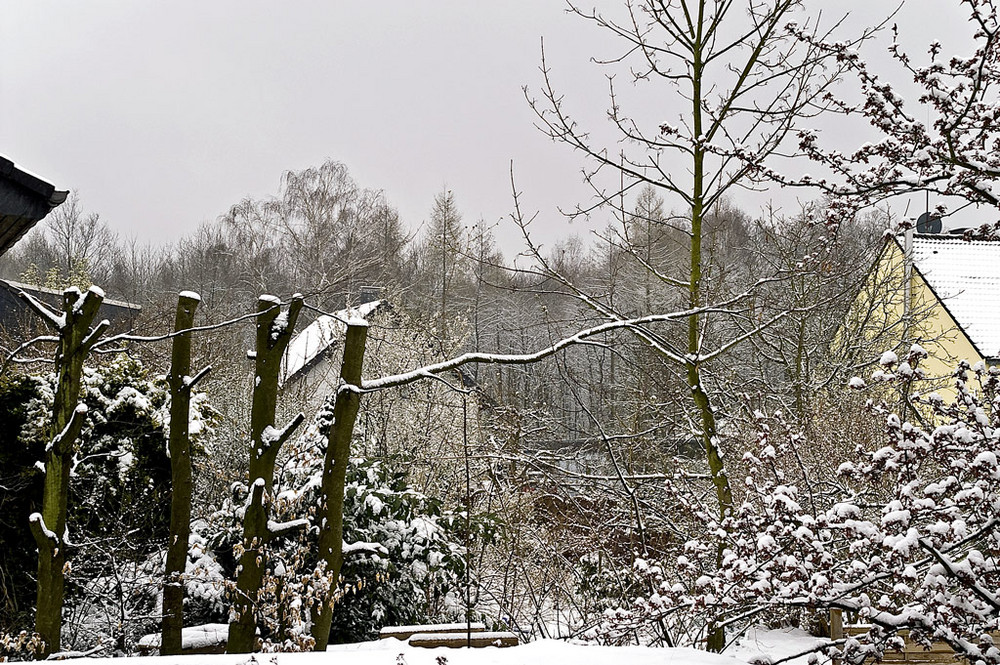 Der letzte Schnee (Hoffentlich ?!)