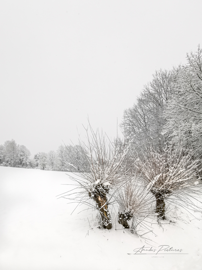 Der letzte Schnee im März