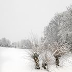 Der letzte Schnee im März