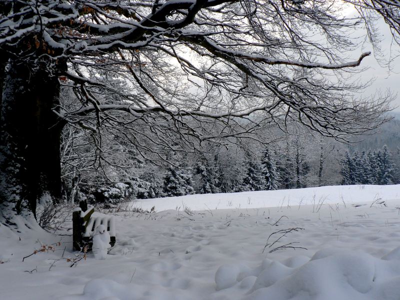 Der letzte Schnee in Frauenwald (Thüringen)?