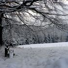 Der letzte Schnee in Frauenwald (Thüringen)?