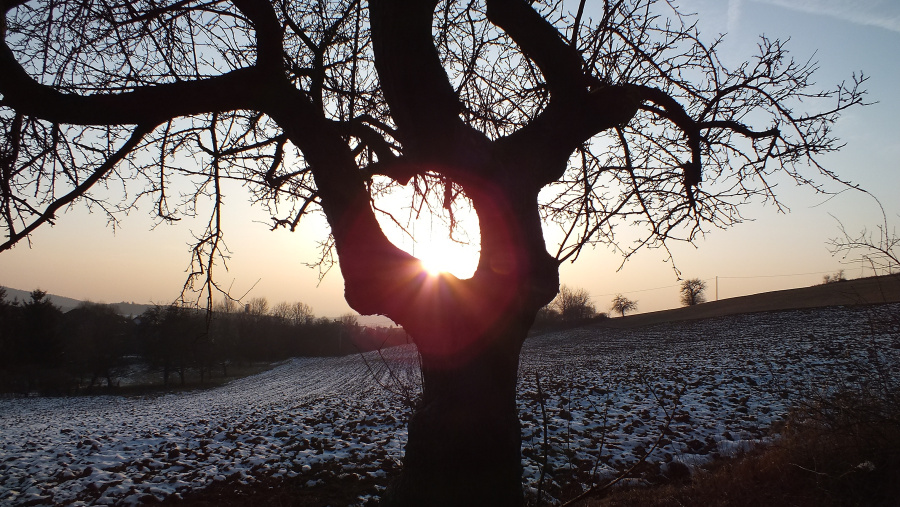 ...der letzte Schnee verabschiedet sich...