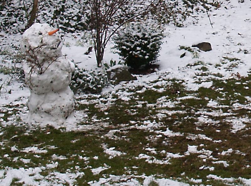 Der letzte Schneemann...