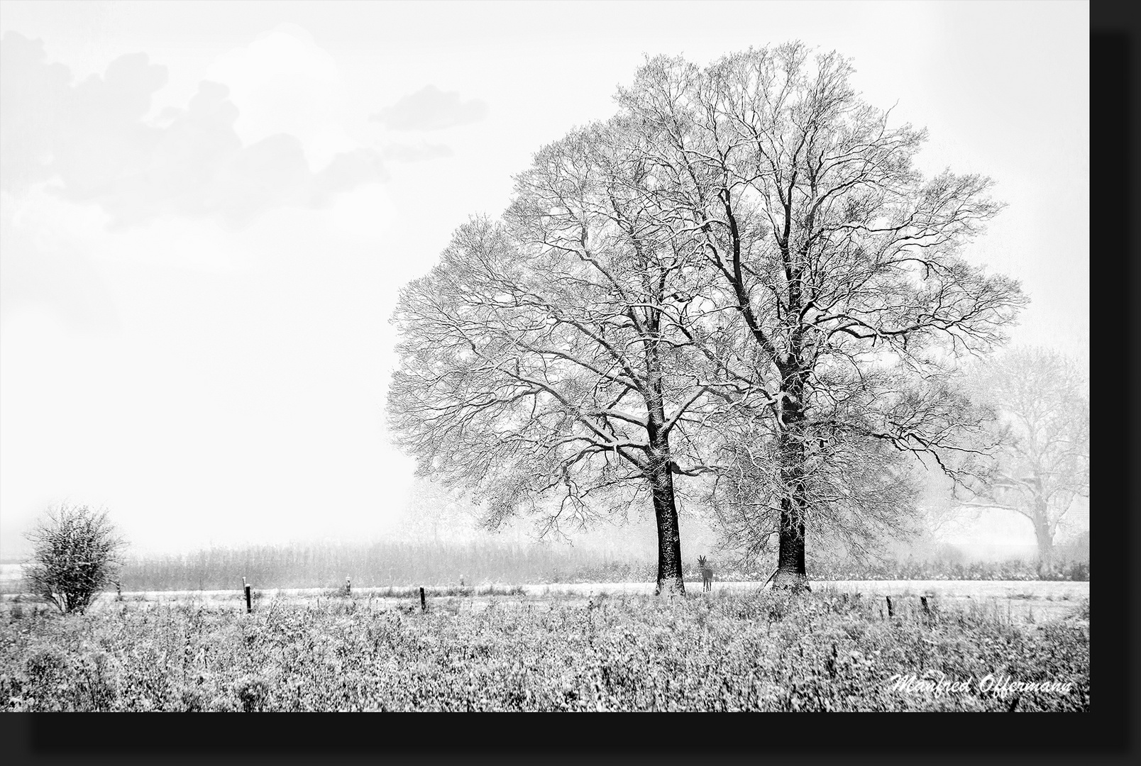 Der letzte Schneetag