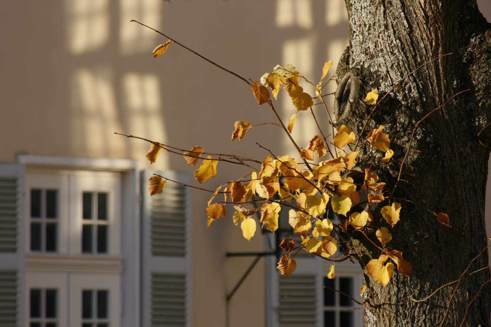 Der letzte schöne Herbsttag II