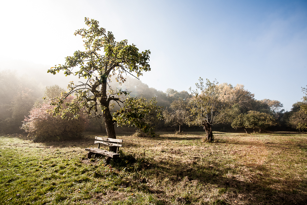 Der letzte schöne Herbsttag im Jahr