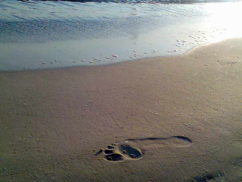 Der letzte Schritt am Strand von Binz