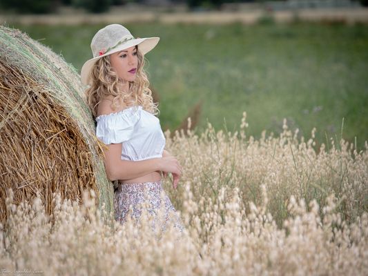 ......der letzte Sommer.