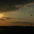 Der letzte Sommer am Flughafen Berlin - Tempelhof