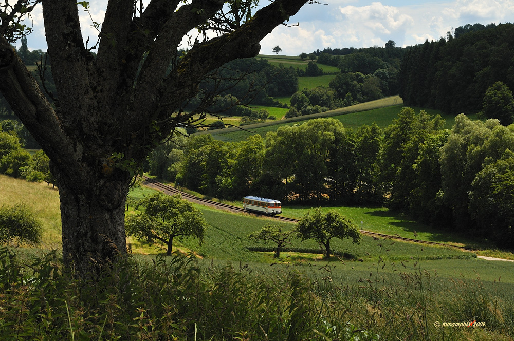 Der letzte Sommer