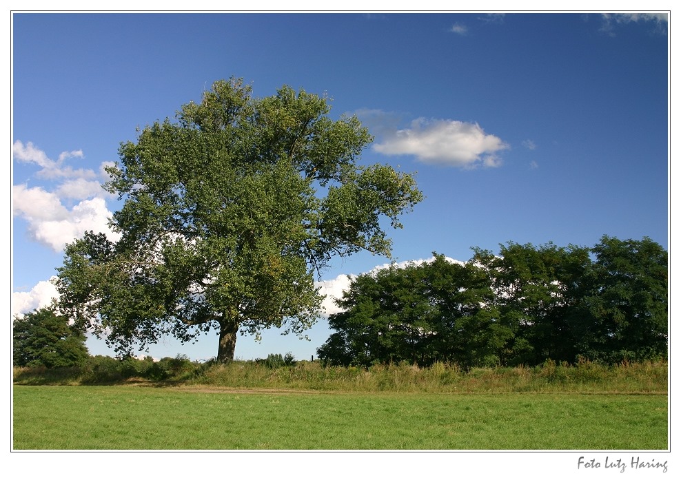 der letzte Sommertag ?