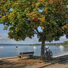 Der letzte Sommertag am See