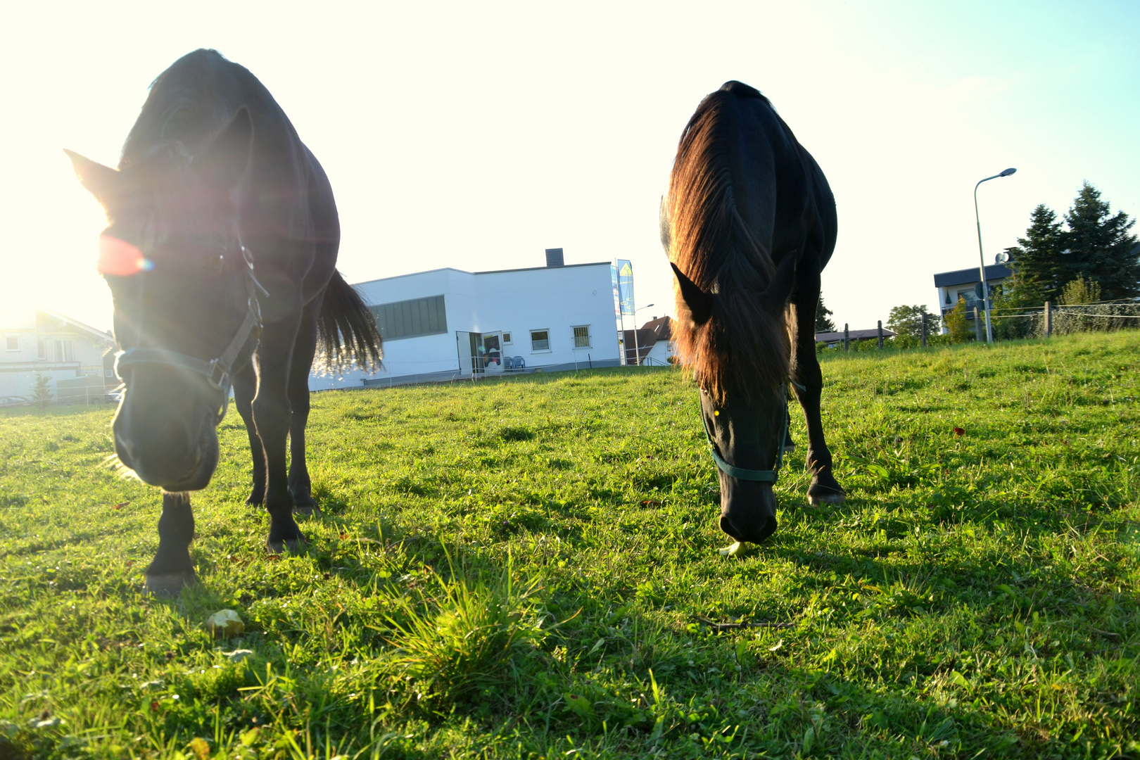 Der letzte Sonnenschein &#9829;