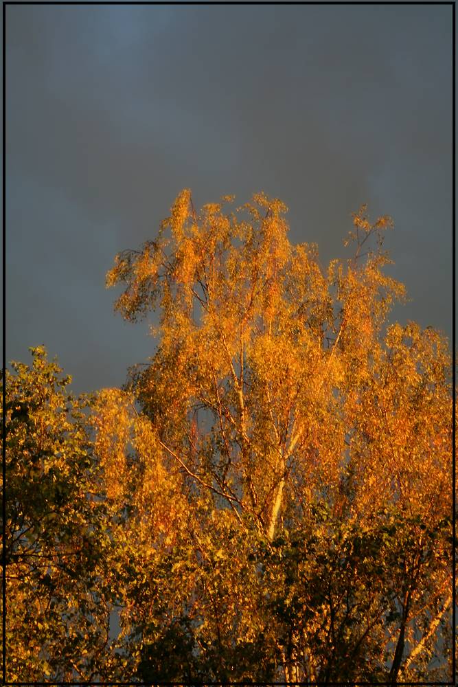 Der Letzte Sonnenschein