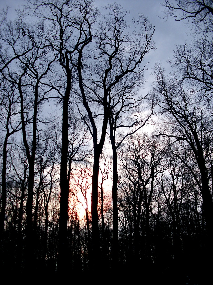 Der letzte Sonnenstrahl 2009