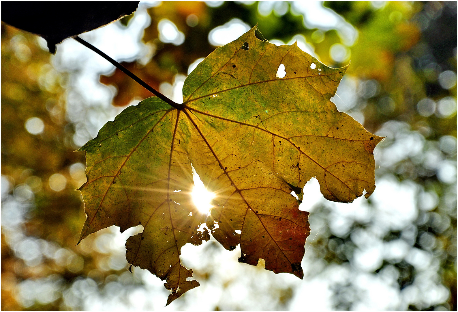 Der letzte Sonnenstrahl...