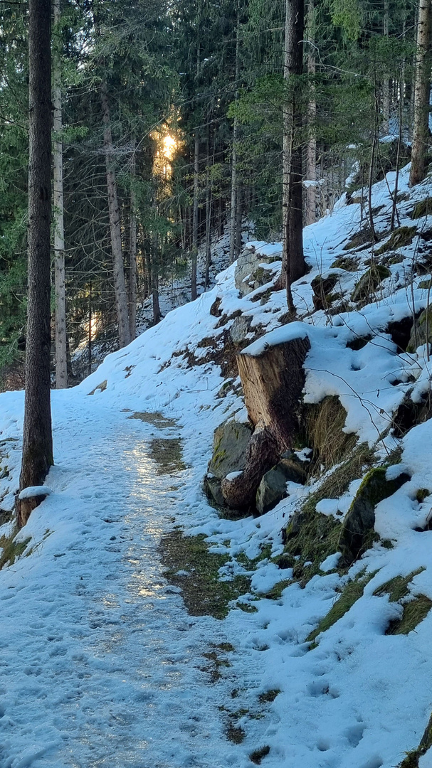 der letzte Sonnenstrahl