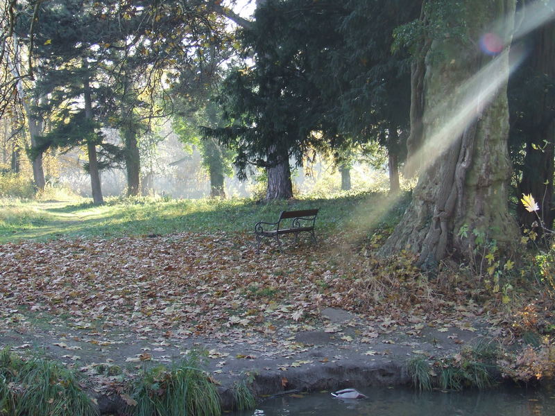 der letzte sonnenstrahl