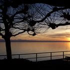 Der letzte Sonnenuntergang des Jahres 2006 am Bodensee