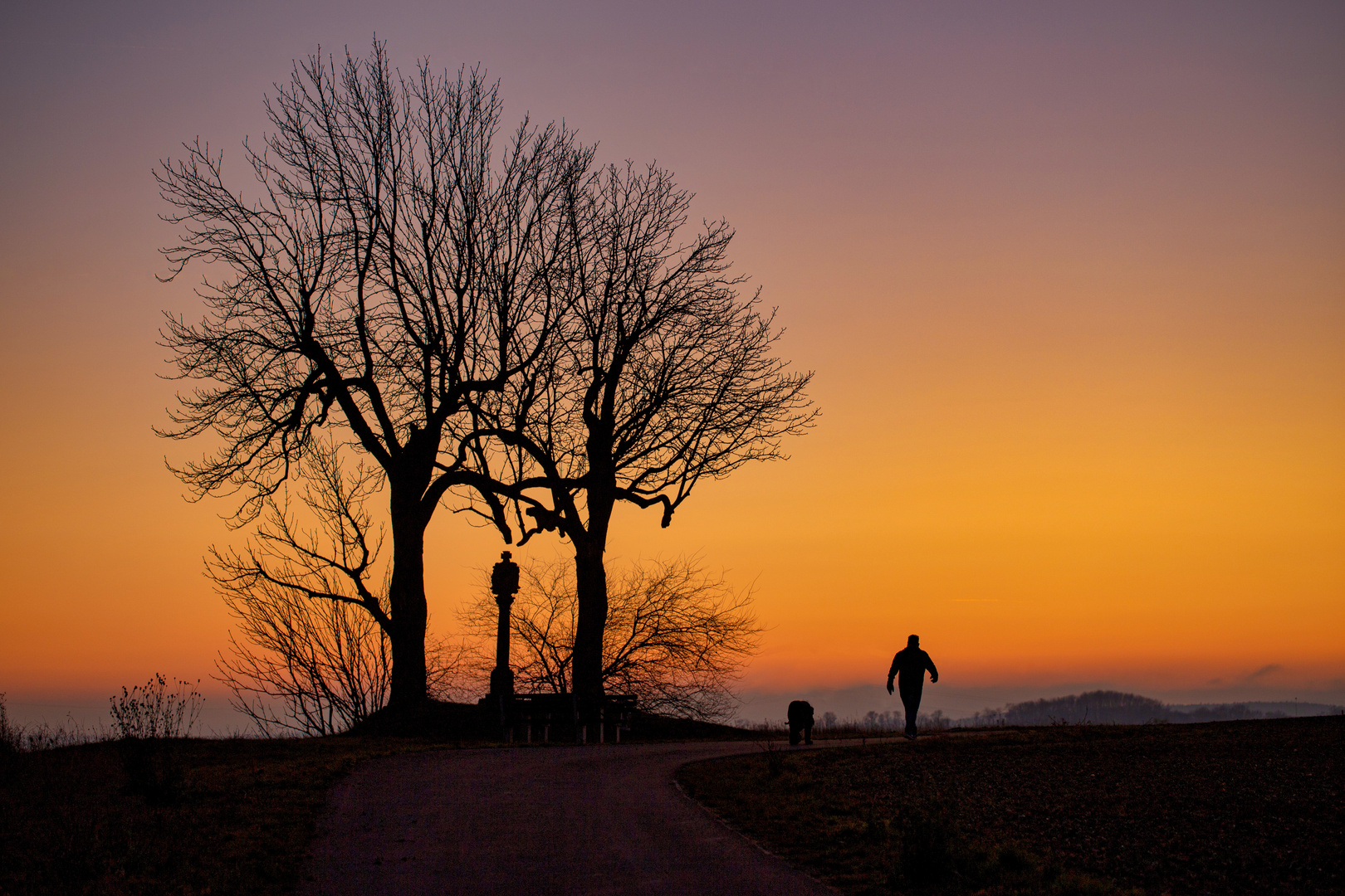 der letzte Spaziergänger - nach Sonnenuntergang