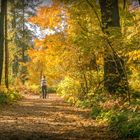 Der letzte Spaziergang